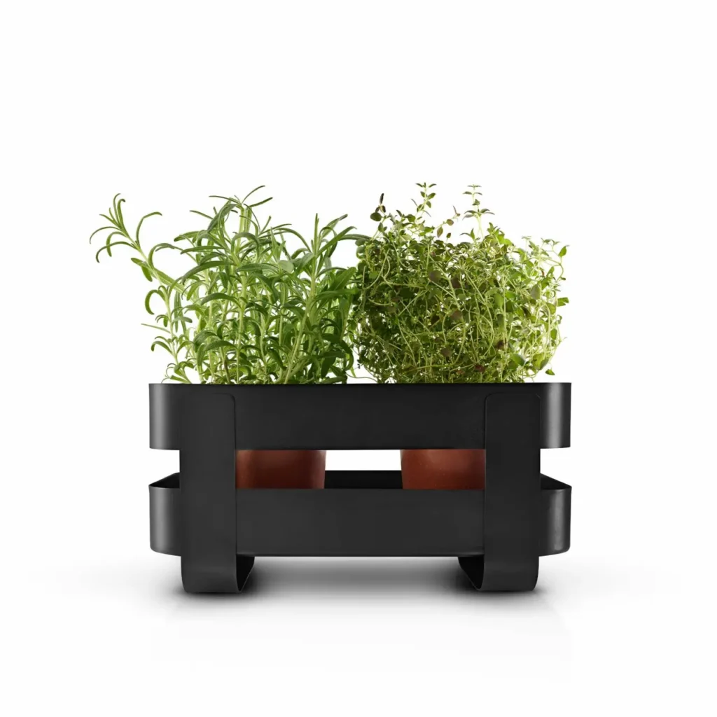 Are Self Watering Planters Good for Herbs?