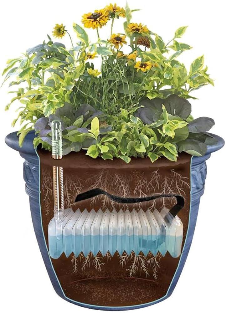 How Often to Refill a Self Watering Planter