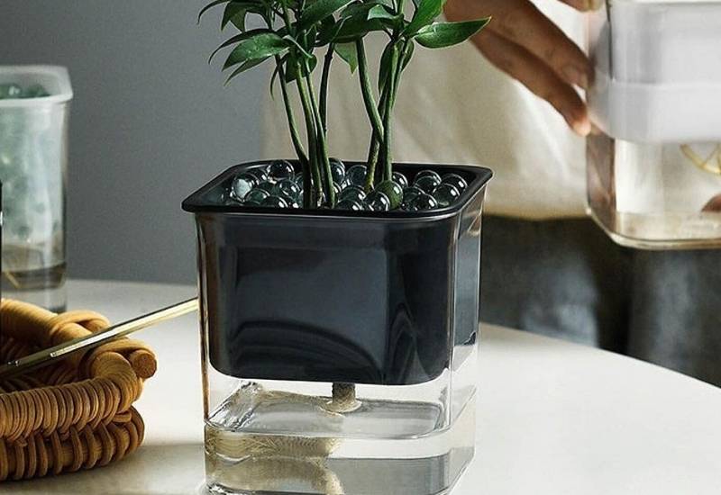How Do Self Watering Planters Work?