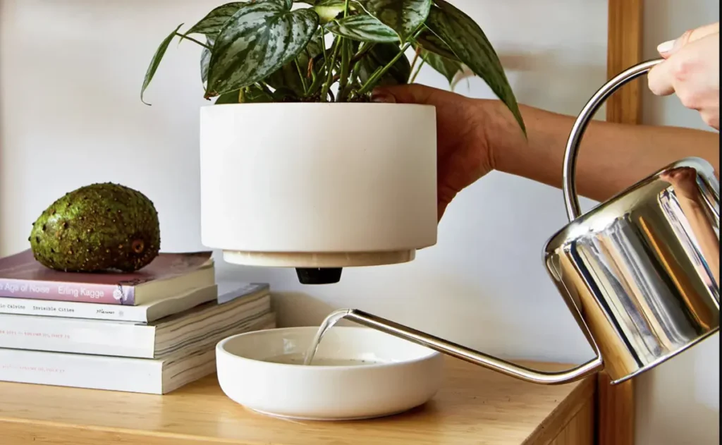 self watering planters pros and cons