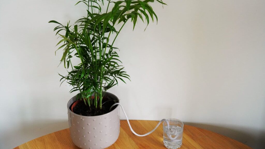 how long can plants survive in a self watering planter without refill