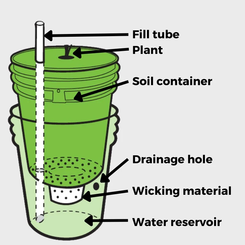 Self Watering Planters: Pros and Cons 