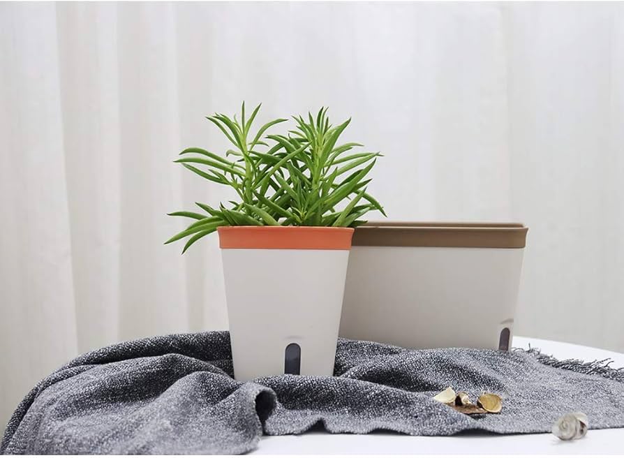 Best light conditions for self watering planters indoors