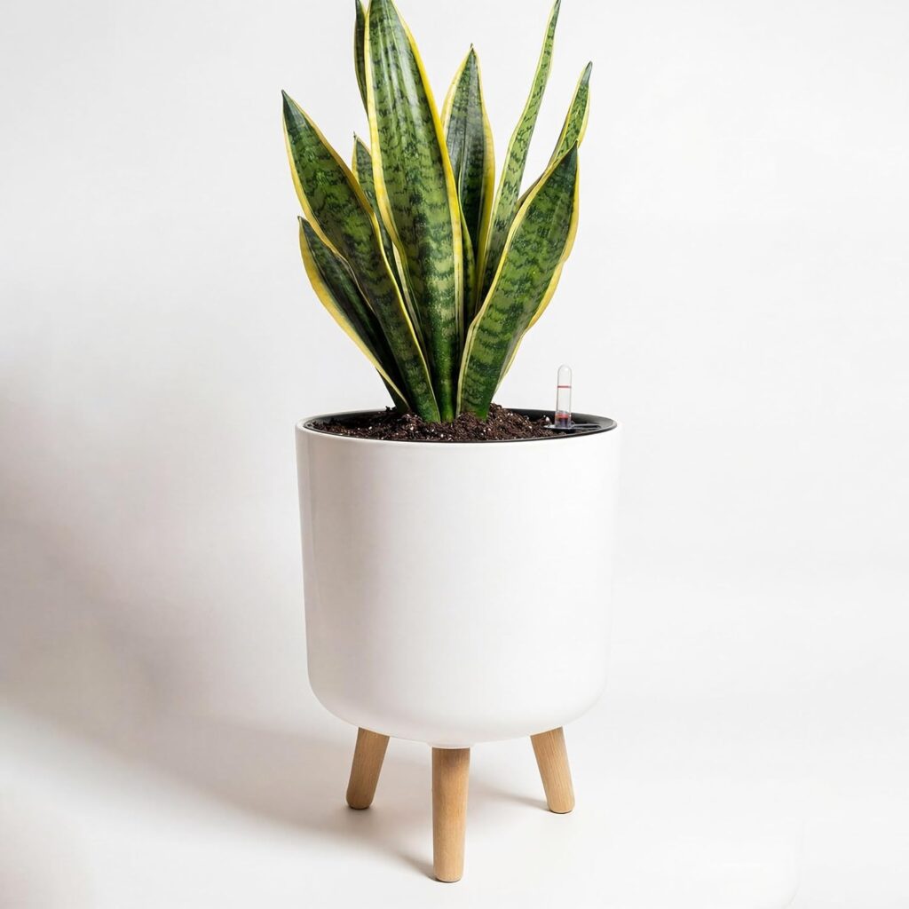 Smart Self Watering Planter with Wooden Stand — Best Nordic-Style Self Watering Planter