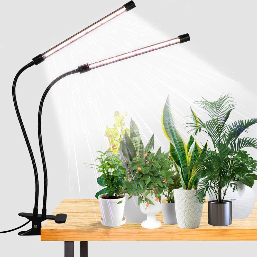 best grow lights for indoor plants