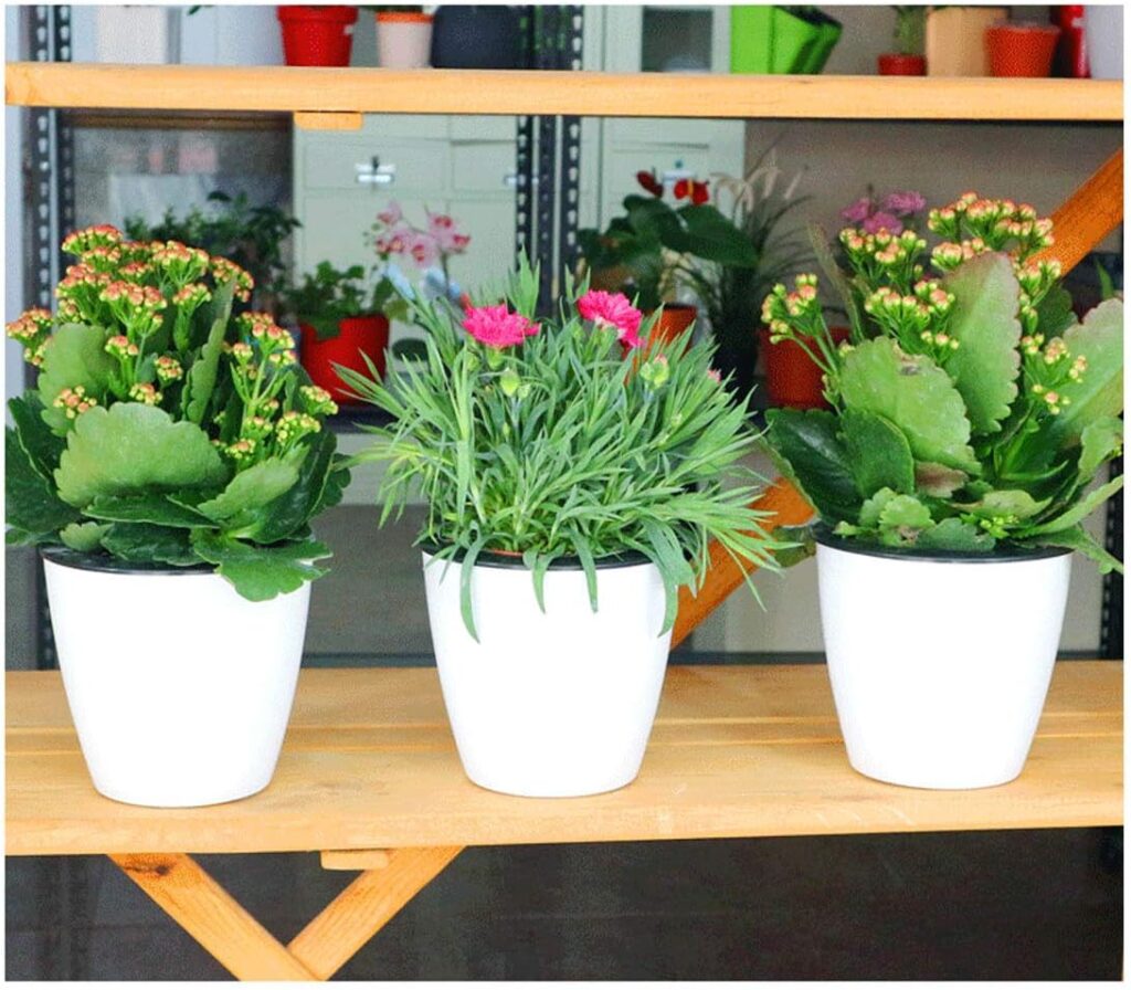 mini self watering pots under $15