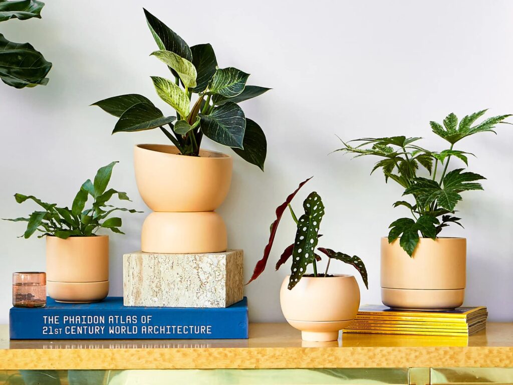 how to tell if roots reached the reservoir