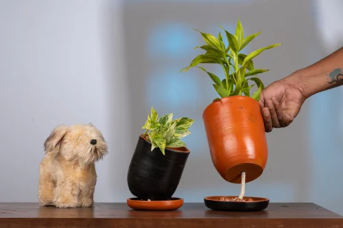 when to stop top watering self watering planters