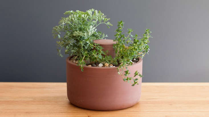 how to repot a plant into a self watering planter