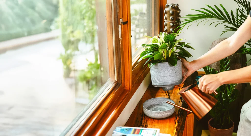 why is my self watering planter always full