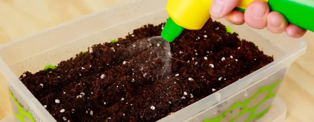 perlite in self watering planters