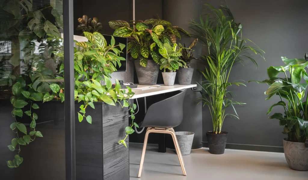 self watering planters for large indoor plants