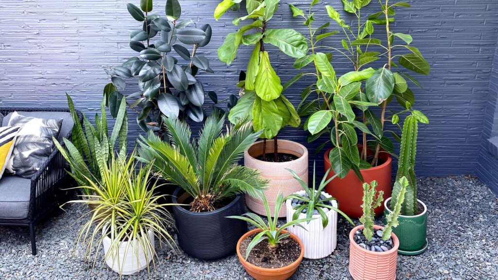 rocks in self watering planter