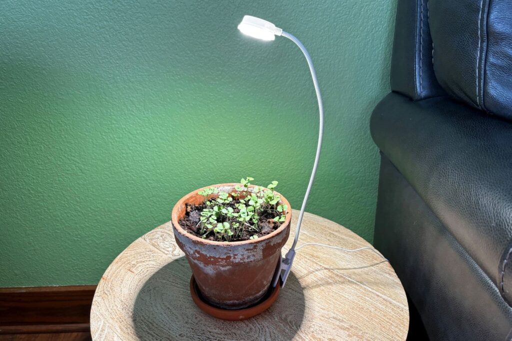 self watering planters grow lights low light